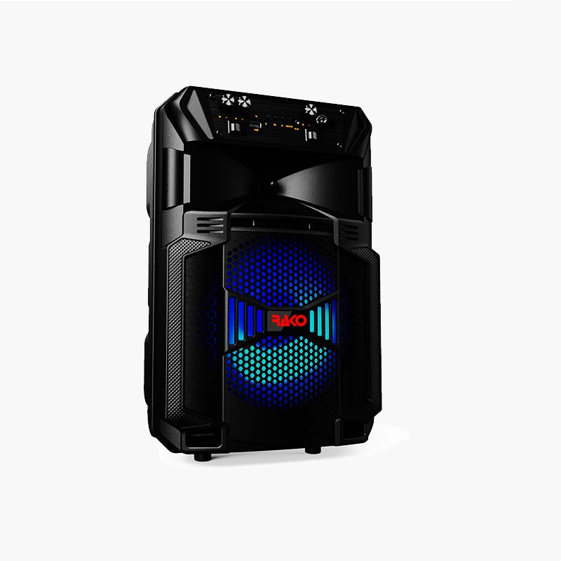 Rako SoundTech Pro Techno with 2 Mic. Rako SoundTech Pro Techno with 2 Mic.